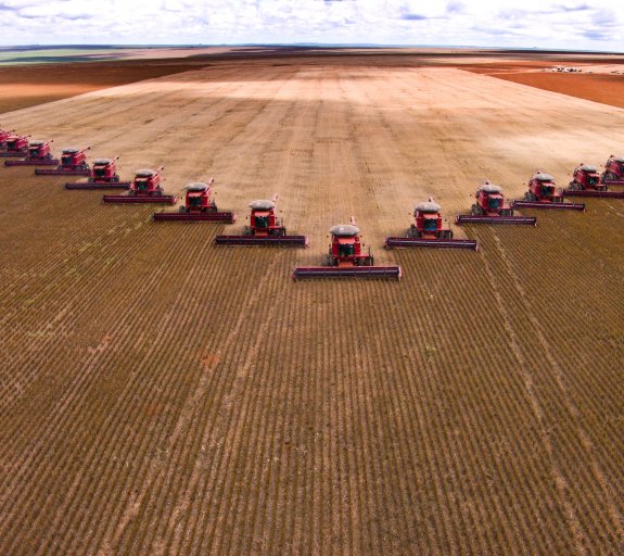 Agriculture industrielle : comment la biodiversité souffre-t-elle de la dépendance au soja ?